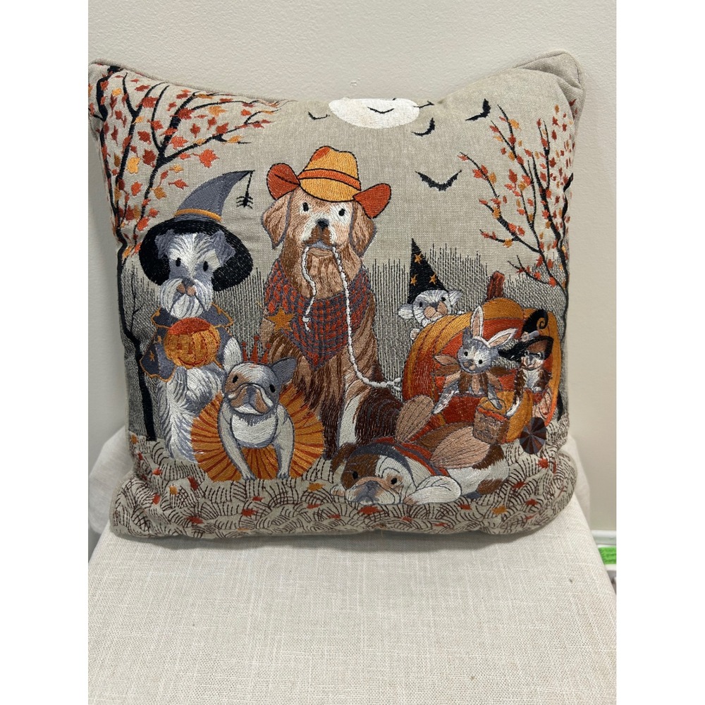 Pier one 16x16 dog and cat embroidered Halloween pillow
